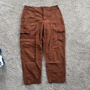 Terra Cotta Cargo Chino Pants